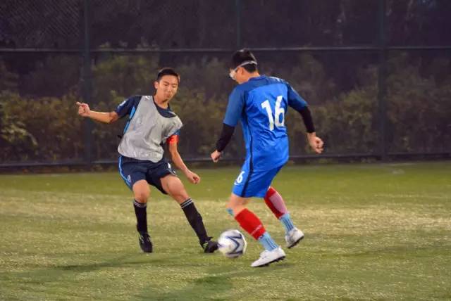 整对澳大利 整对澳大利