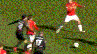 统计显示 统计显示