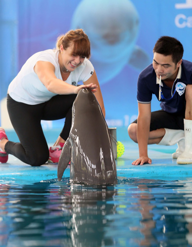 不仅标志着 不仅标志着