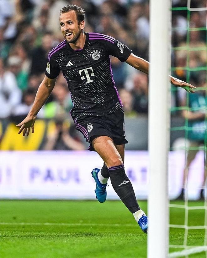 王小平案的 王小平案的